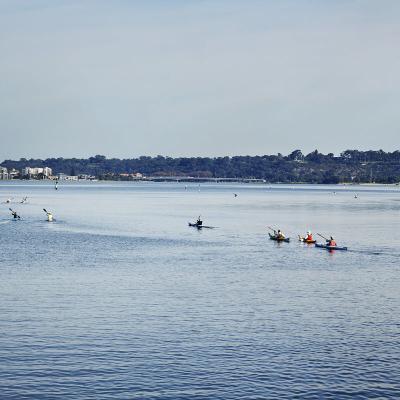 Swan River image
