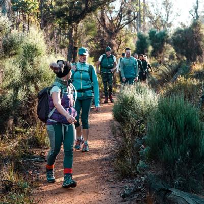 The Hike Collective image